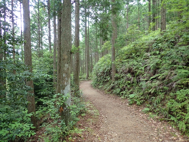 熊野古道は雨でも歩ける 雨の時の服装 対策について きい散歩